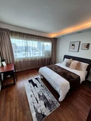 Cairnhill Plaza (D9), Apartment #476743241